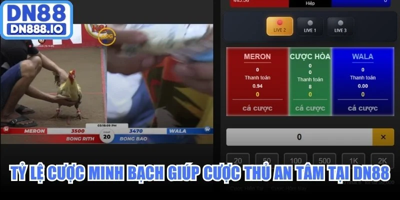 Tỷ lệ cược minh bạch giúp cược thủ an tâm tại DN88